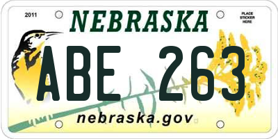 NE license plate ABE263