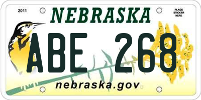 NE license plate ABE268