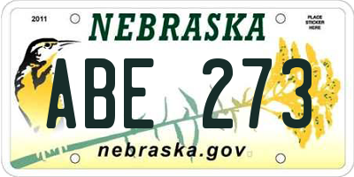 NE license plate ABE273