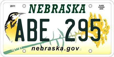 NE license plate ABE295