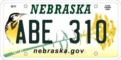 NE license plate ABE310