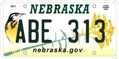 NE license plate ABE313