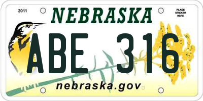 NE license plate ABE316