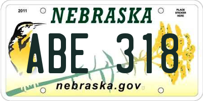 NE license plate ABE318