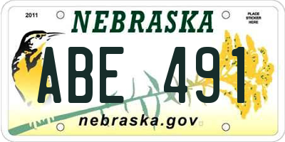 NE license plate ABE491