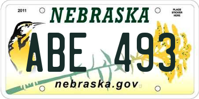 NE license plate ABE493