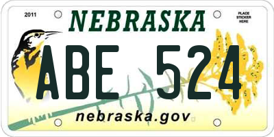 NE license plate ABE524