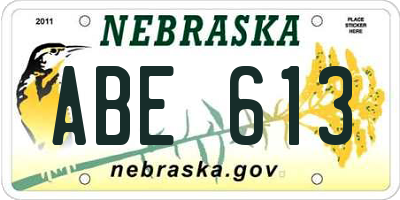 NE license plate ABE613