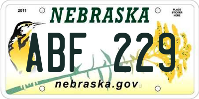 NE license plate ABF229