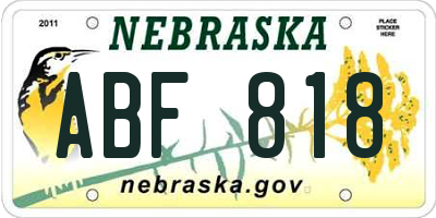 NE license plate ABF818