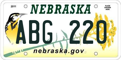 NE license plate ABG220