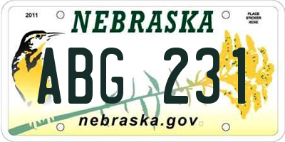 NE license plate ABG231