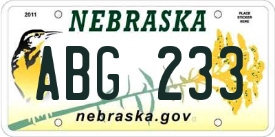 NE license plate ABG233