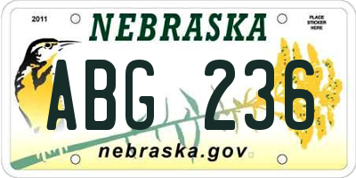 NE license plate ABG236