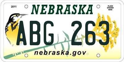 NE license plate ABG263