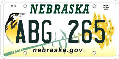 NE license plate ABG265