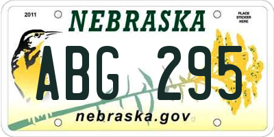 NE license plate ABG295