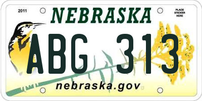 NE license plate ABG313