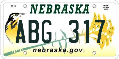 NE license plate ABG317