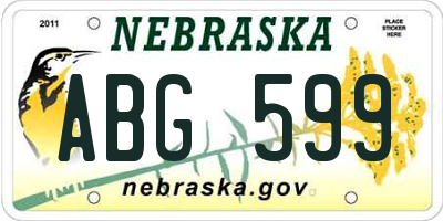 NE license plate ABG599