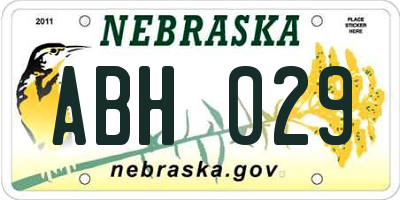 NE license plate ABH029