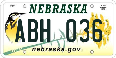 NE license plate ABH036
