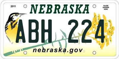 NE license plate ABH224