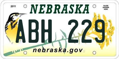 NE license plate ABH229