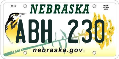 NE license plate ABH230