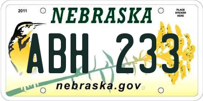 NE license plate ABH233