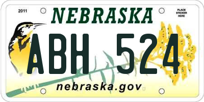 NE license plate ABH524