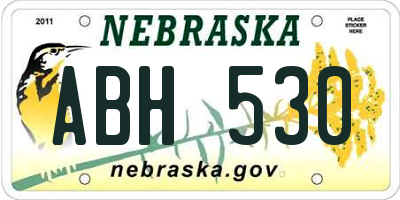 NE license plate ABH530