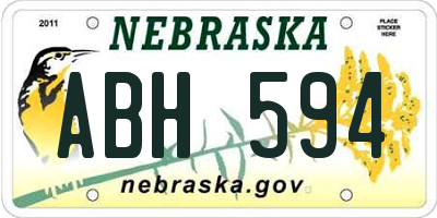 NE license plate ABH594