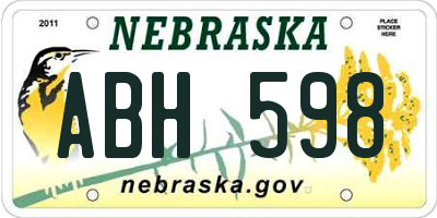 NE license plate ABH598