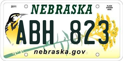 NE license plate ABH823