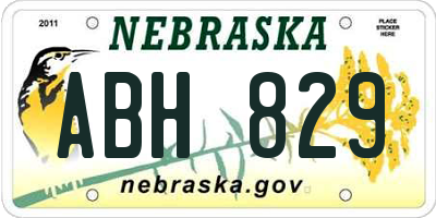 NE license plate ABH829