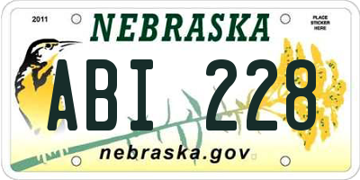 NE license plate ABI228