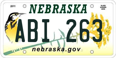 NE license plate ABI263