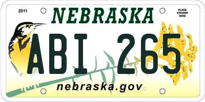 NE license plate ABI265