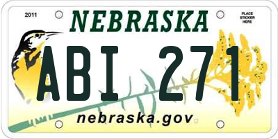 NE license plate ABI271