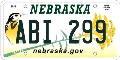 NE license plate ABI299