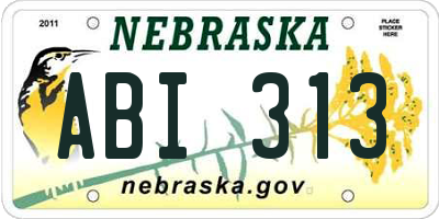 NE license plate ABI313