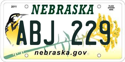 NE license plate ABJ229