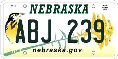 NE license plate ABJ239