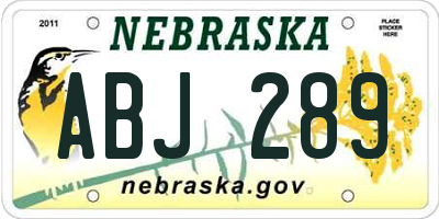 NE license plate ABJ289