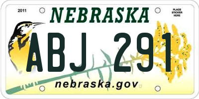 NE license plate ABJ291