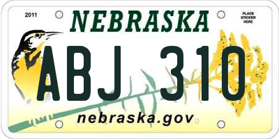 NE license plate ABJ310