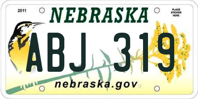 NE license plate ABJ319