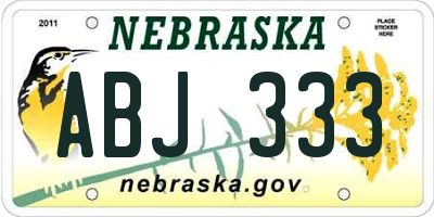 NE license plate ABJ333