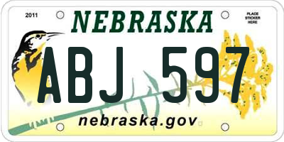 NE license plate ABJ597